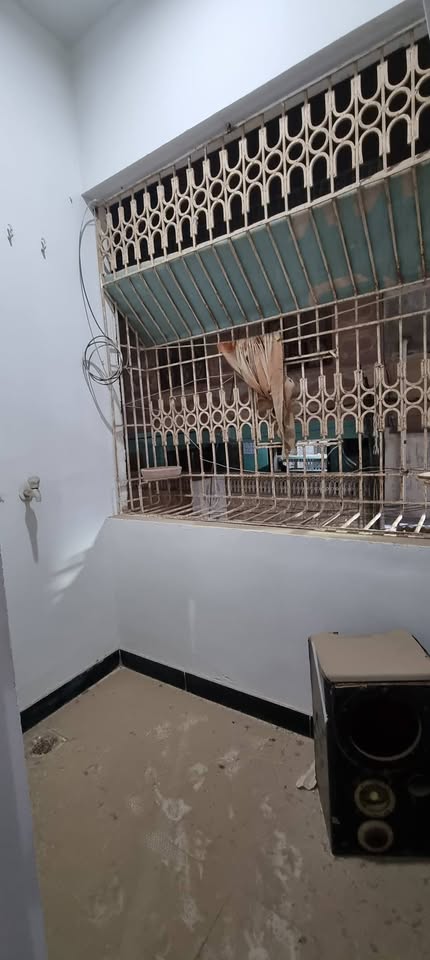 538604429_10230492955250767_6170875429775412039_n