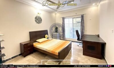 539752318_3220770298081493_1325453341796638329_n