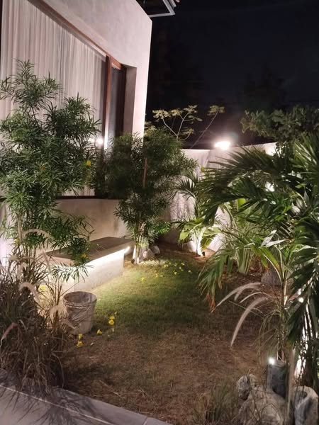 539788625_3695007620799005_7713323834003626059_n