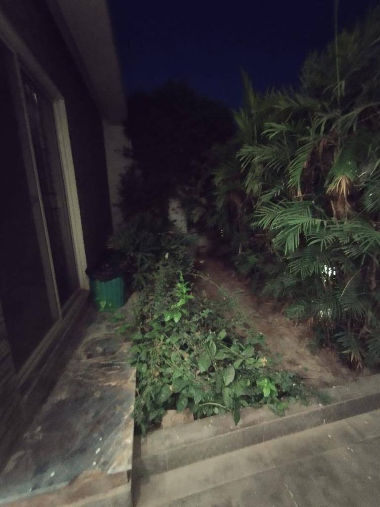 515999136_1192339116243013_7358973398676830700_n