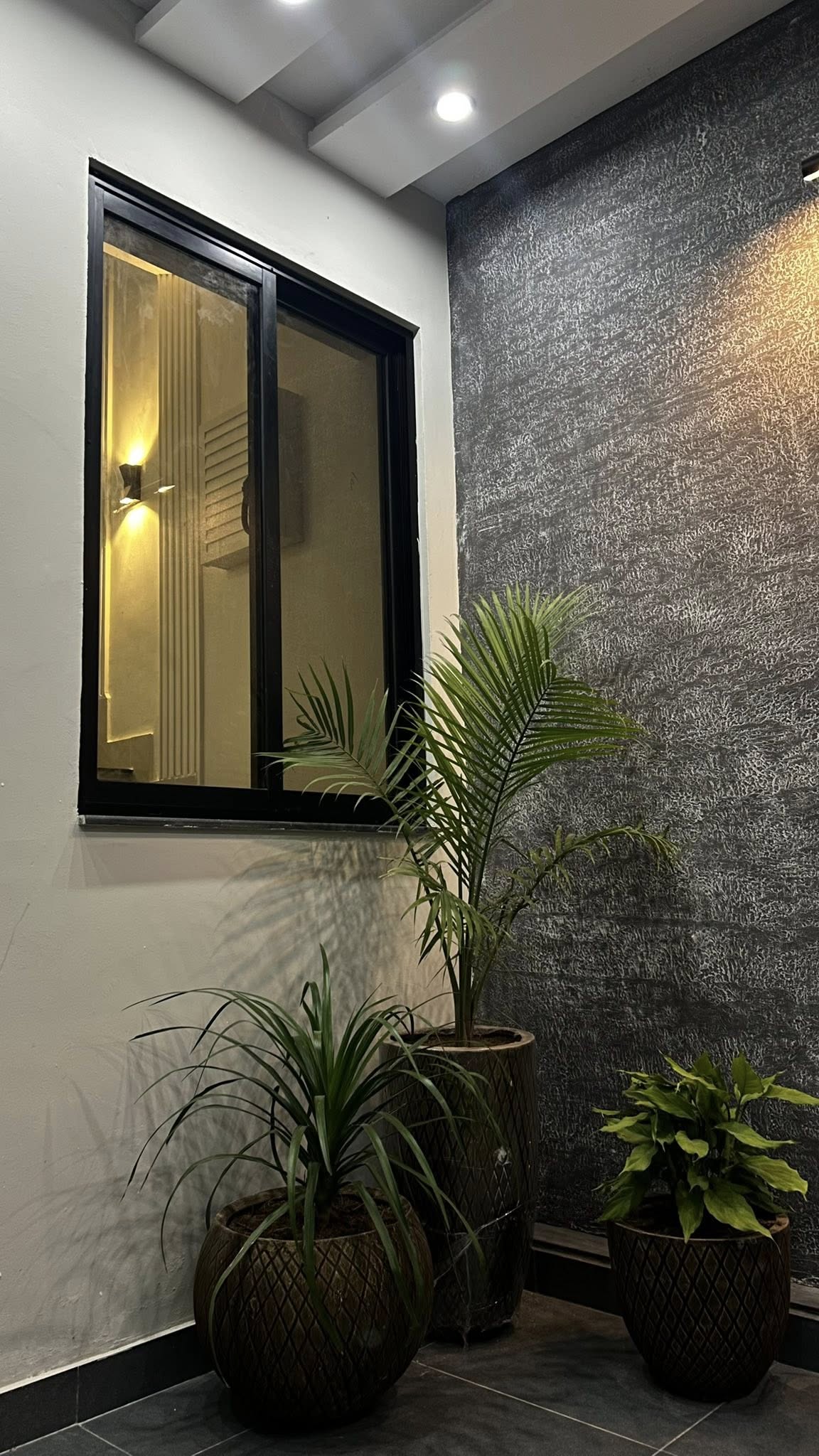 516225917_2016214142481389_8454763752139888296_n