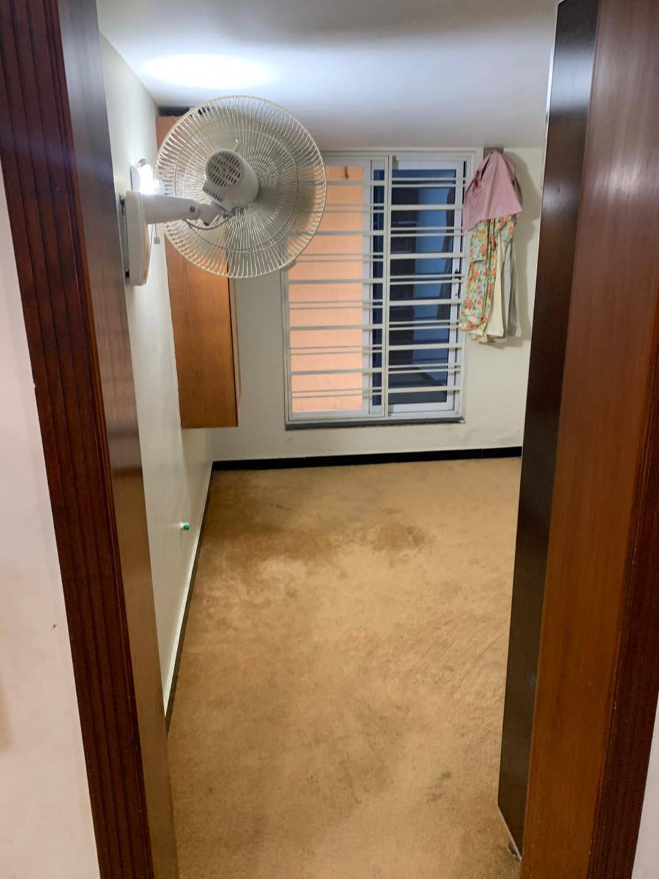 530743550_2545290542494018_6815486618214372125_n