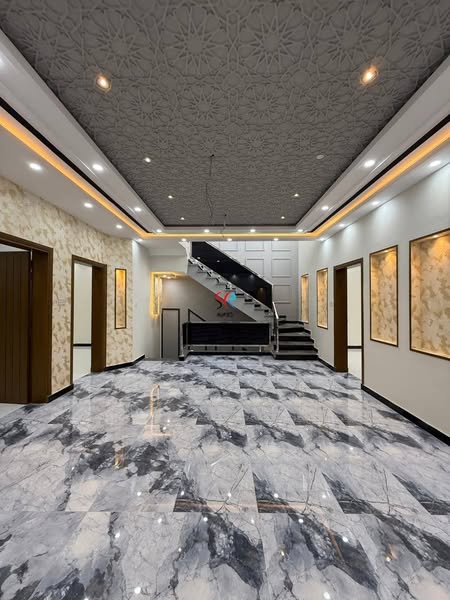 538453039_122125463780936041_504416216922697_n