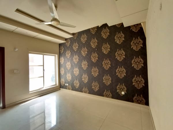 539292288_122129190236943033_5343968721563495756_n