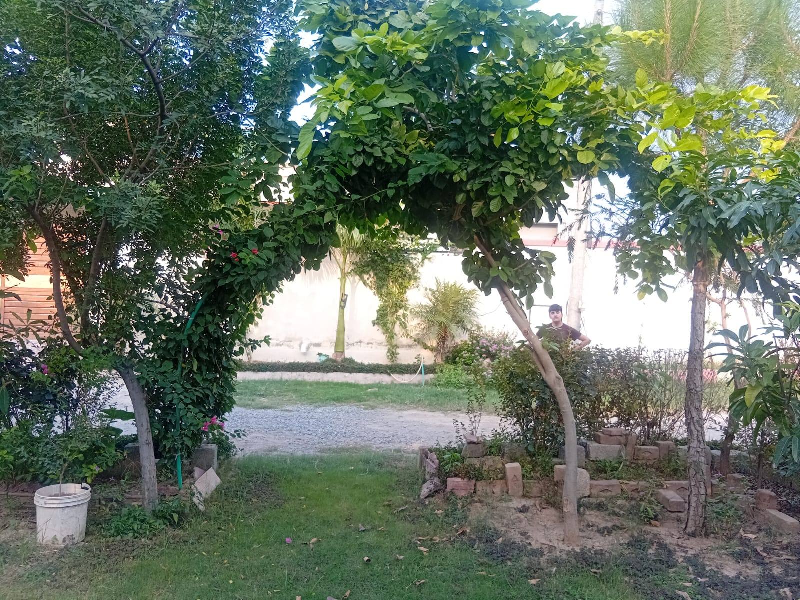 540506910_2282761358834187_9222012700086598165_n