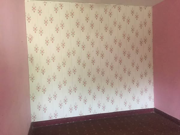 540699683_122228013170138173_244316260490060936_n