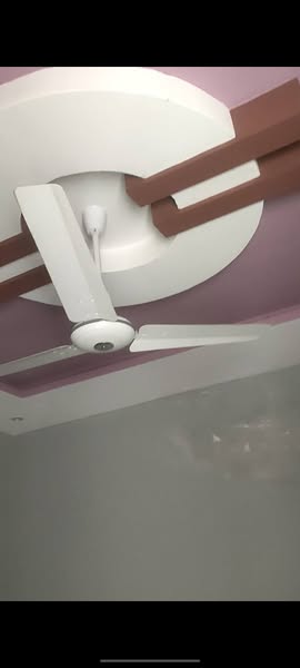 540703238_1920892345119229_6120159340356321488_n