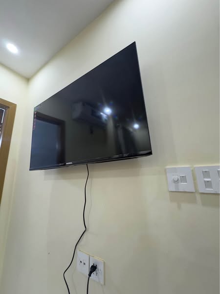 540703446_1260270049229938_7133212920244640808_n