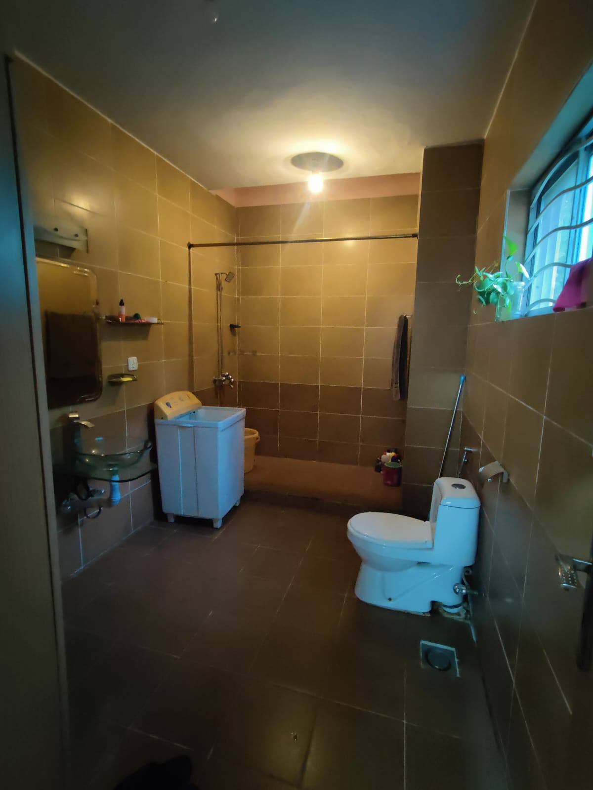 540834547_122258743628069090_1634728552031858411_n