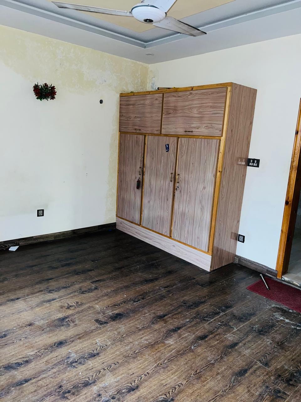 540874768_754508567335503_5223155478657372694_n