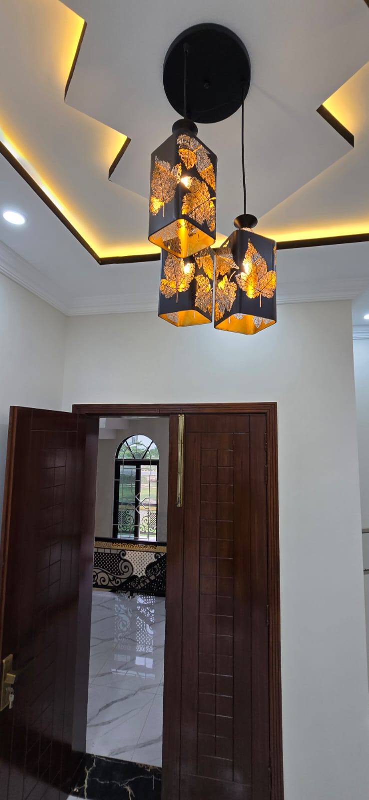 541767151_10239309021167230_5269636533146715872_n