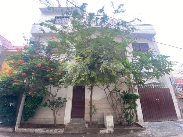 542484969_24722018770756907_1670452028113805476_n