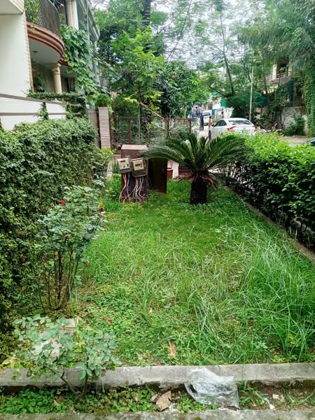 542647072_122143987802890726_5847831215231488207_n