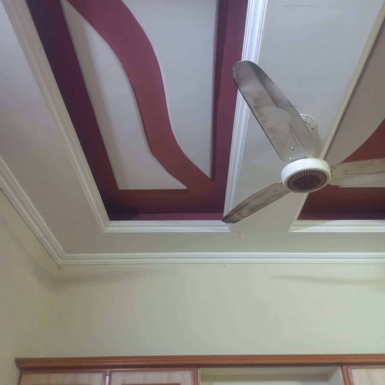 543417192_4203646676629025_416335512130311414_n