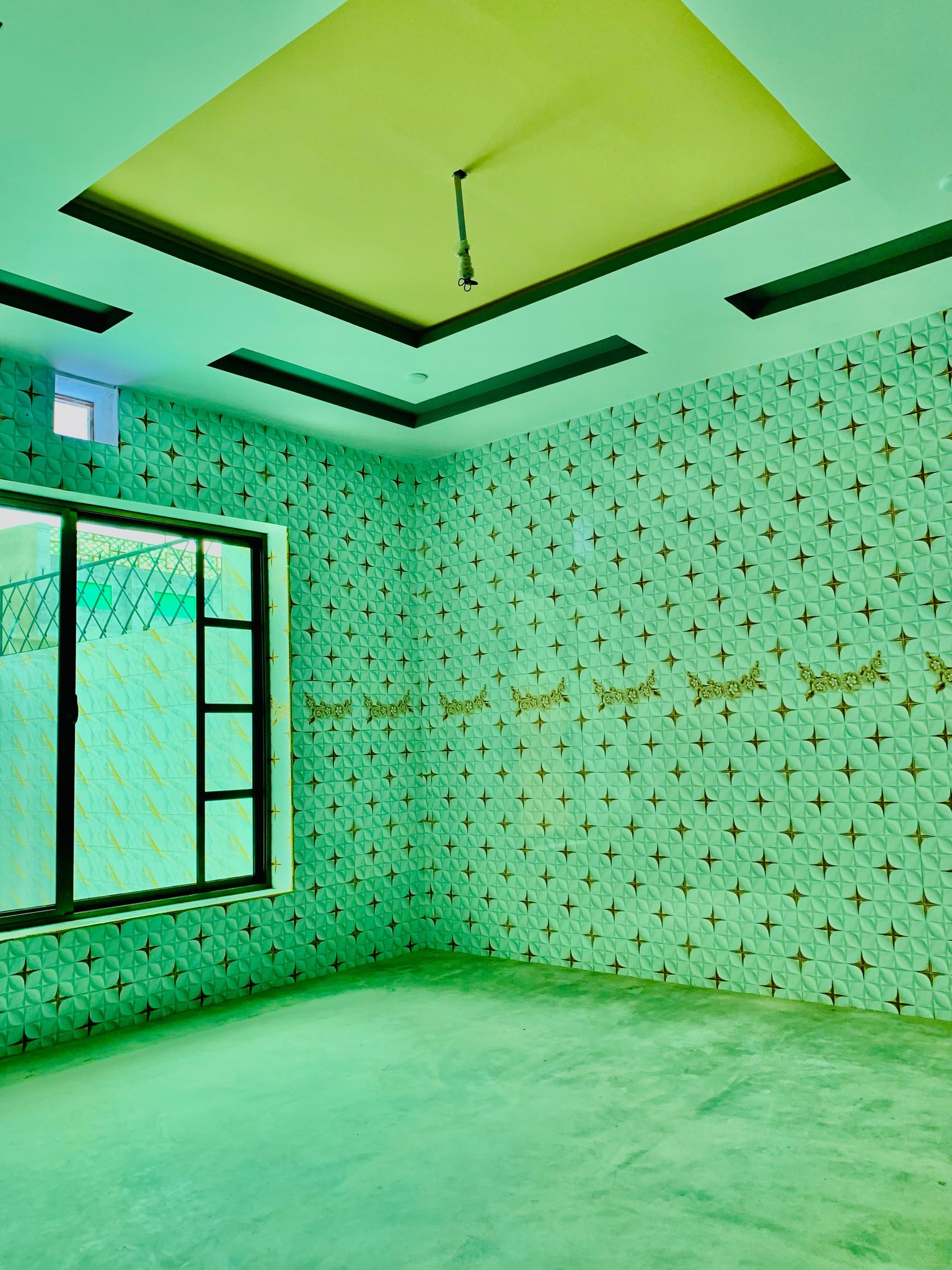 547208950_753998347461449_7708334033200003138_n