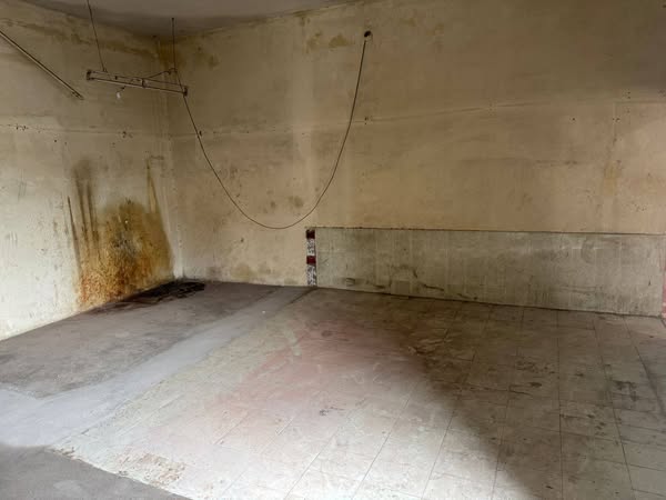 547484901_122129621840937697_1370947285413584108_n