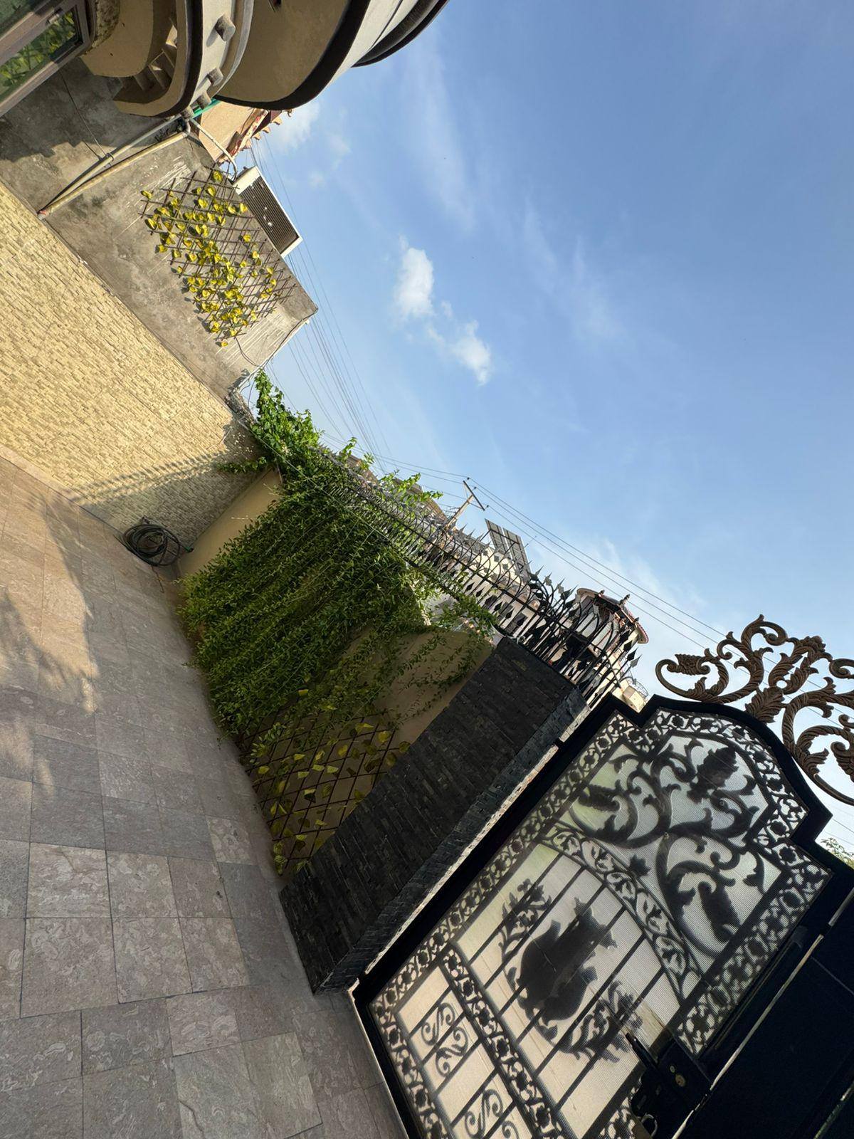 549711891_122186422376337212_2573755789391346868_n