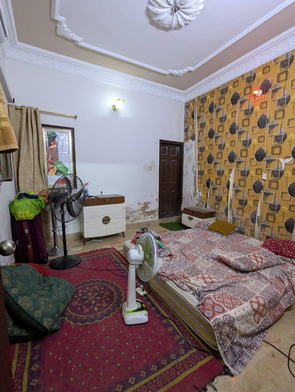 550120271_122101336893021945_975406033517285537_n