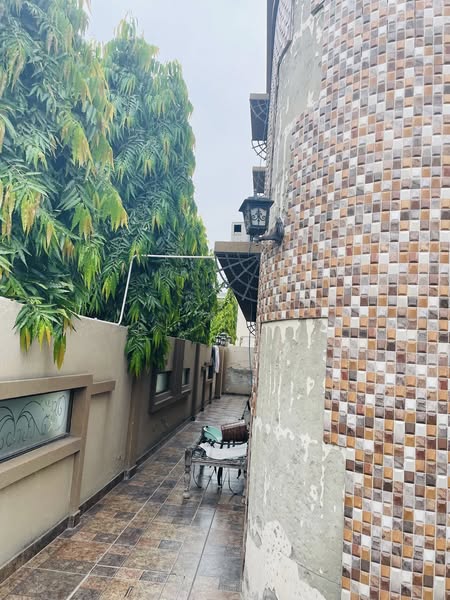 551237764_2959000897633023_7158611442581649891_n