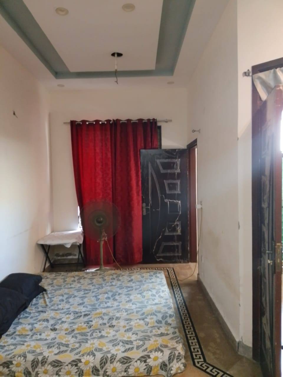 552604961_1341134391068727_7752286154504481203_n