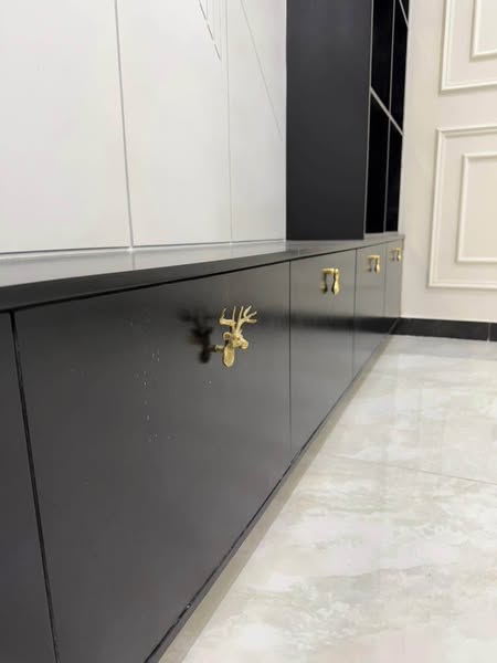 555611876_809111252068335_5493728041583957097_n