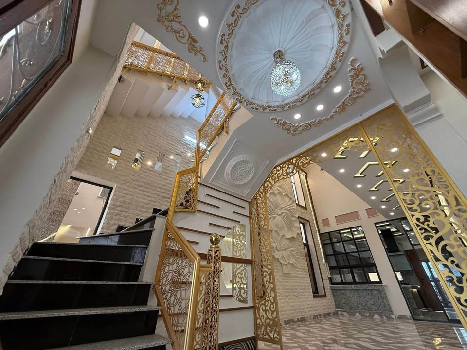 555717084_809109415401852_793352102595043584_n