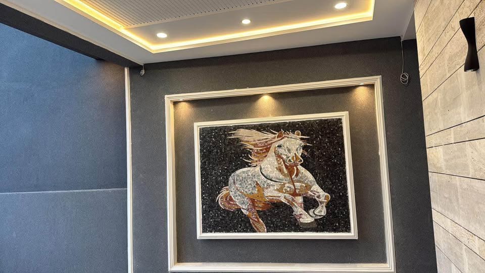 557162878_809111242068336_8432407523395790346_n