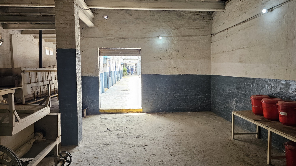 20250827_131654_resize