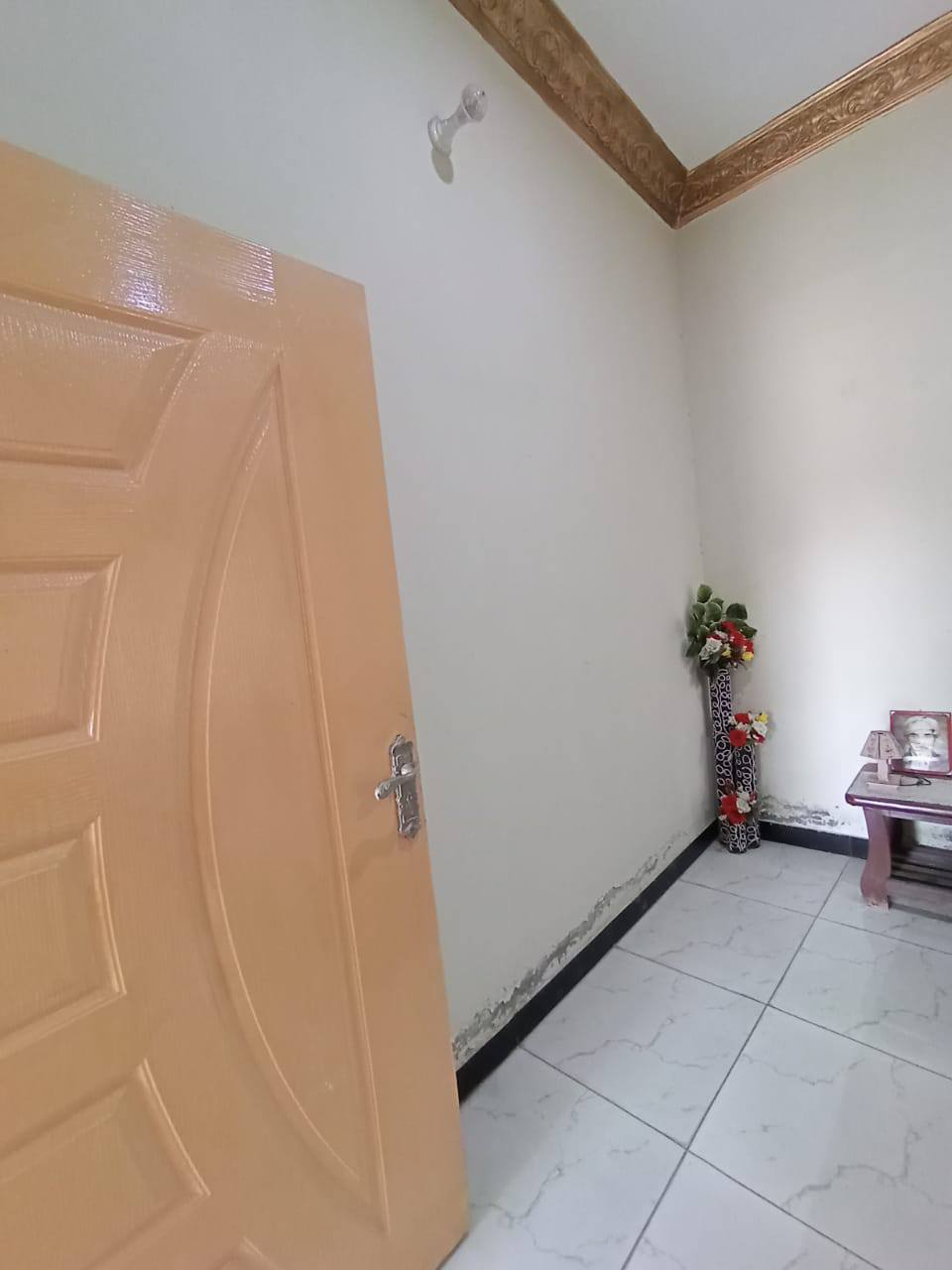 540618548_780873241570837_5936854719985552621_n