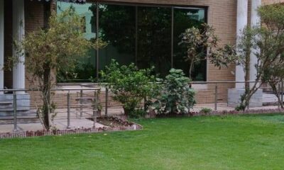 540676789_2569705683370225_8062485731062267289_n