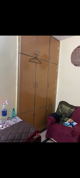 541401377_2423963804665001_7572889715247371561_n