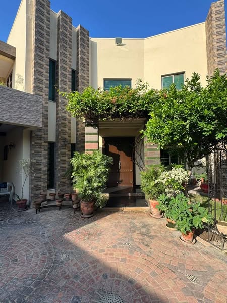 550850108_1911427386094548_1818032949578620786_n