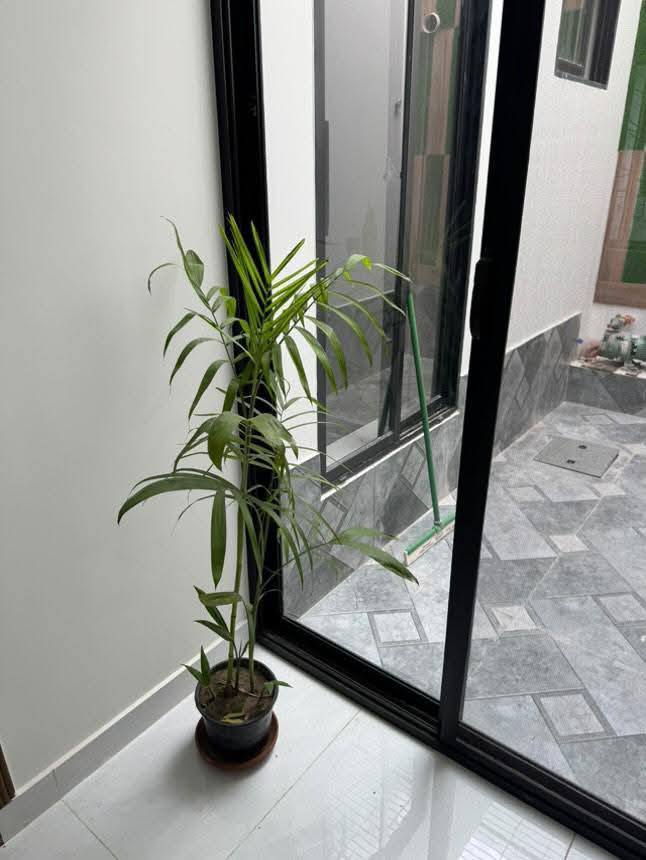 554033820_792023803686272_8294632874142545339_n