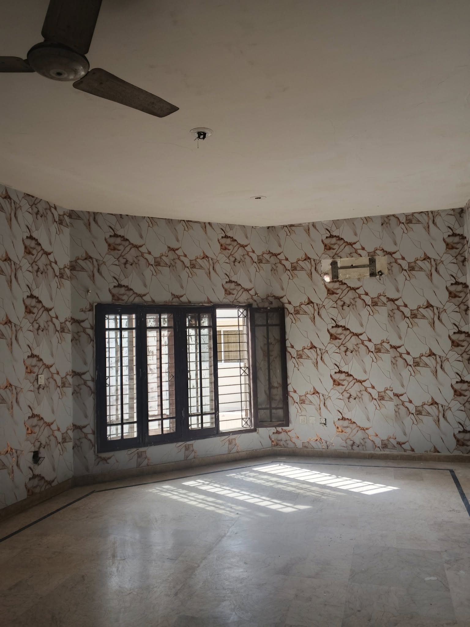 555534758_1998780177621684_5491336309334630109_n