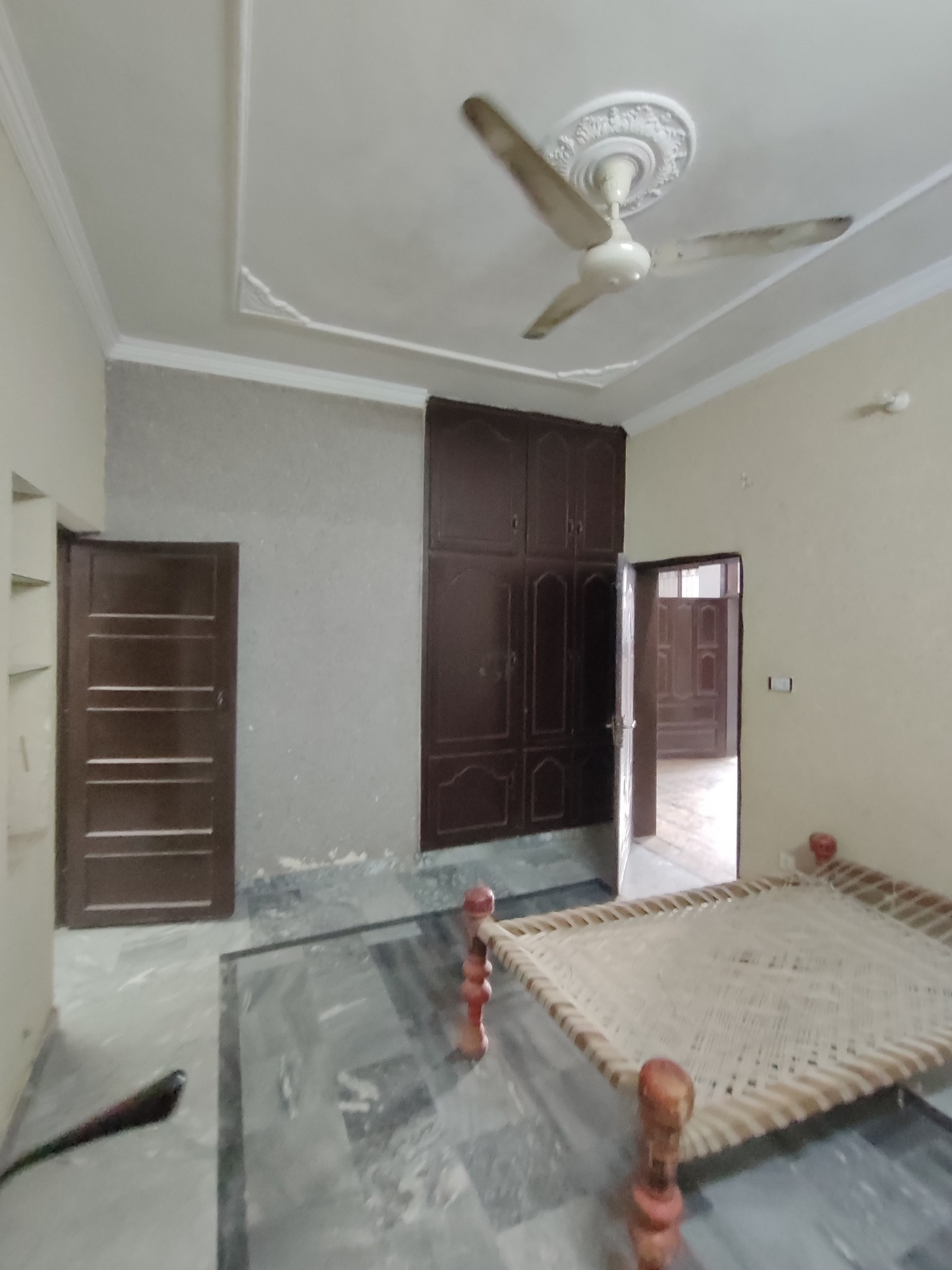 556126806_785980290696204_4512564825417543834_n