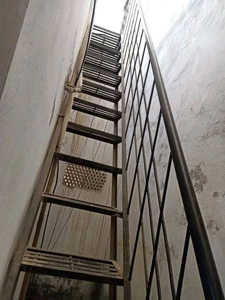 556203212_731252086632067_8836369035167964400_n