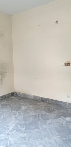 556902134_1303251534880705_8302727176148657265_n