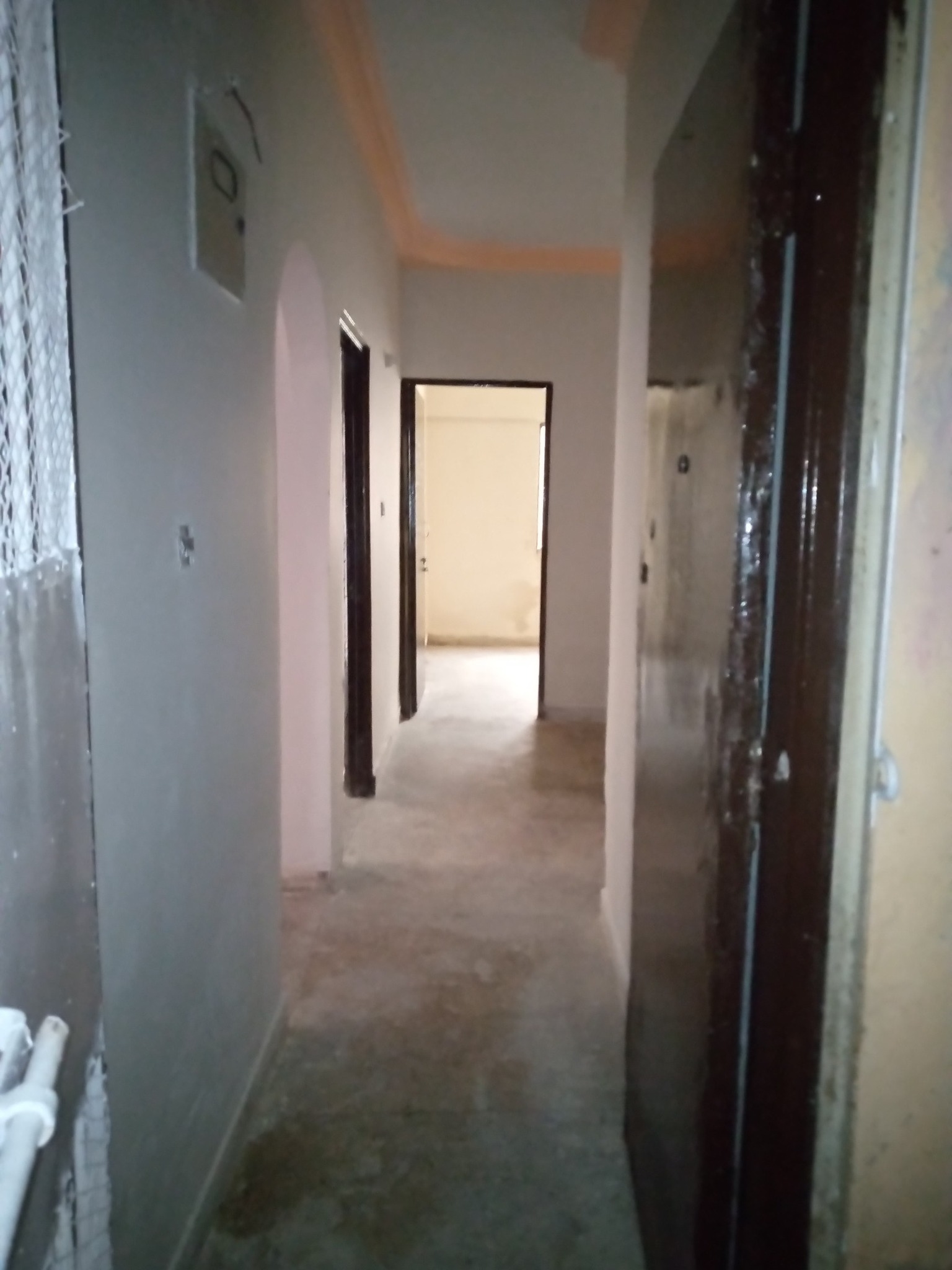 557588395_4450879328532017_1796678336729331781_n