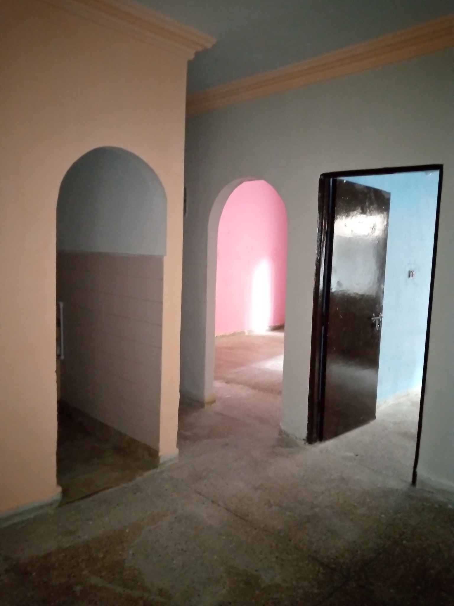 557625431_4450879785198638_5204964884552734651_n