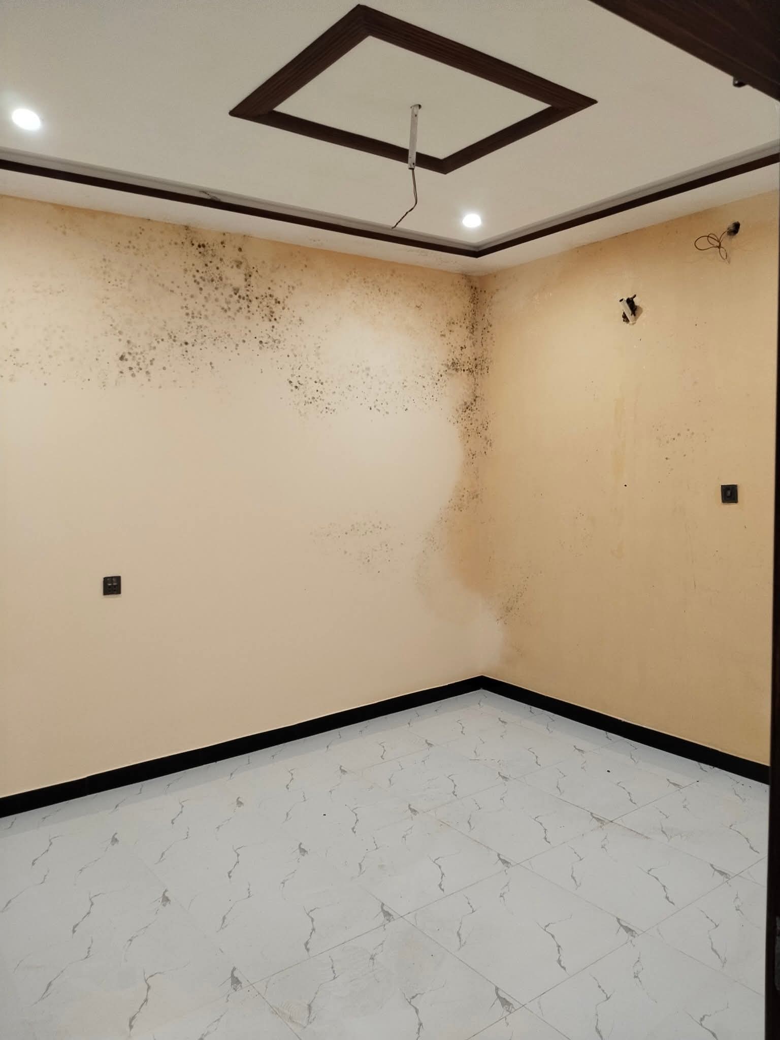 557698384_2605665123101689_4731376044547337229_n