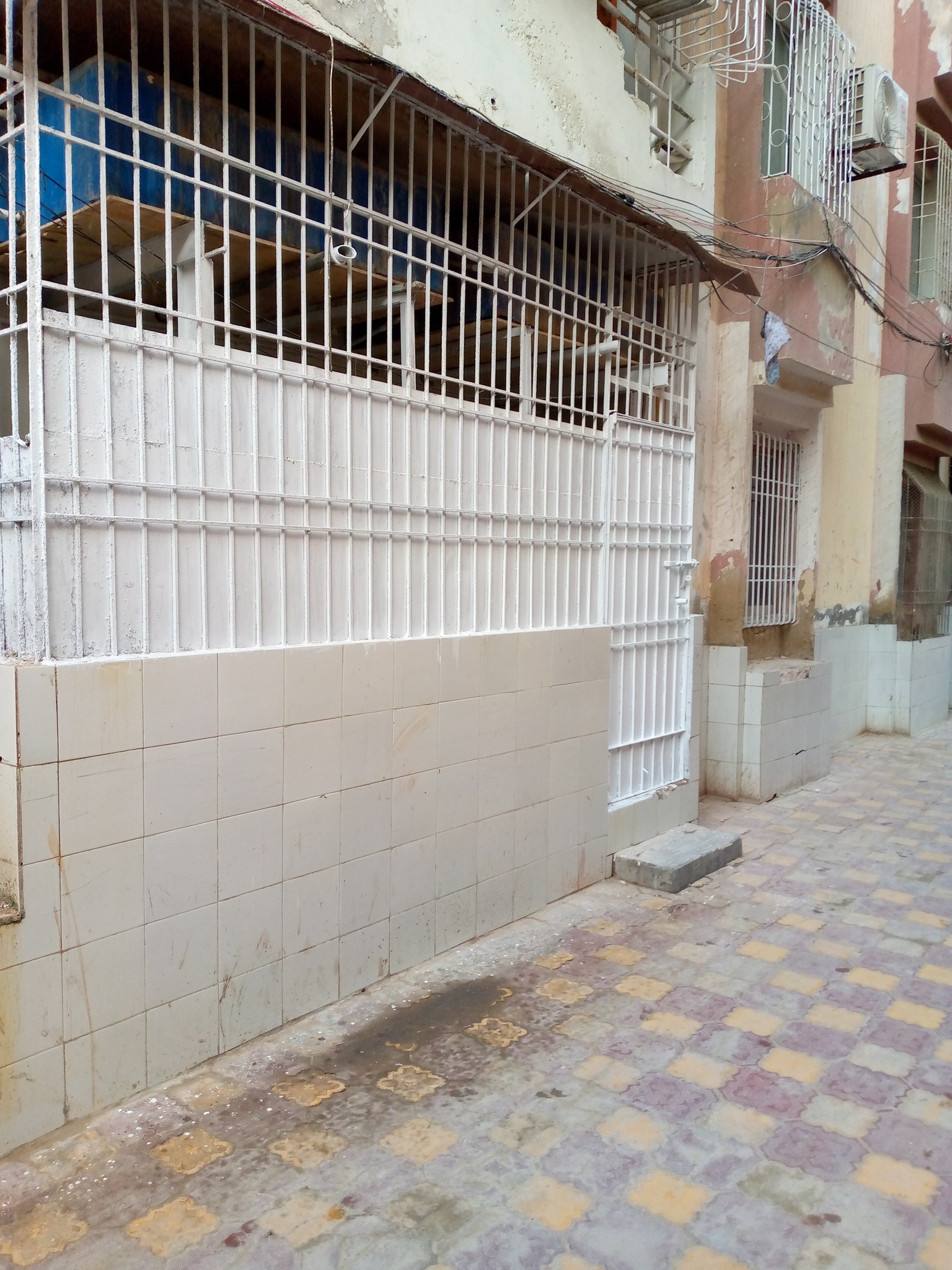 557803440_4450879888531961_6506413026312742291_n