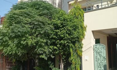 558079899_714421215003355_3953645027162770214_n