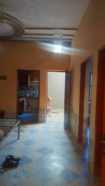 560038219_4265799413743558_2129878423853886480_n