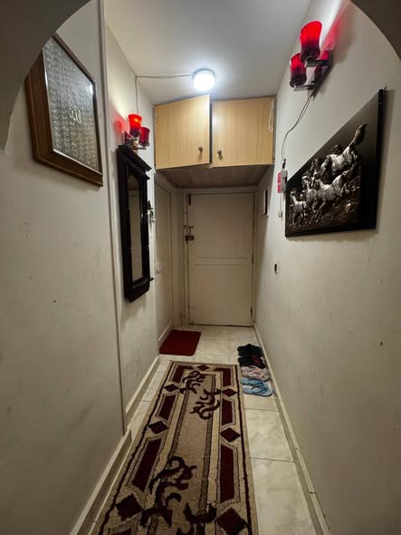 560677053_1258449786295559_423335755705352712_n