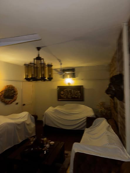 564082903_1258449859628885_504346142173969339_n