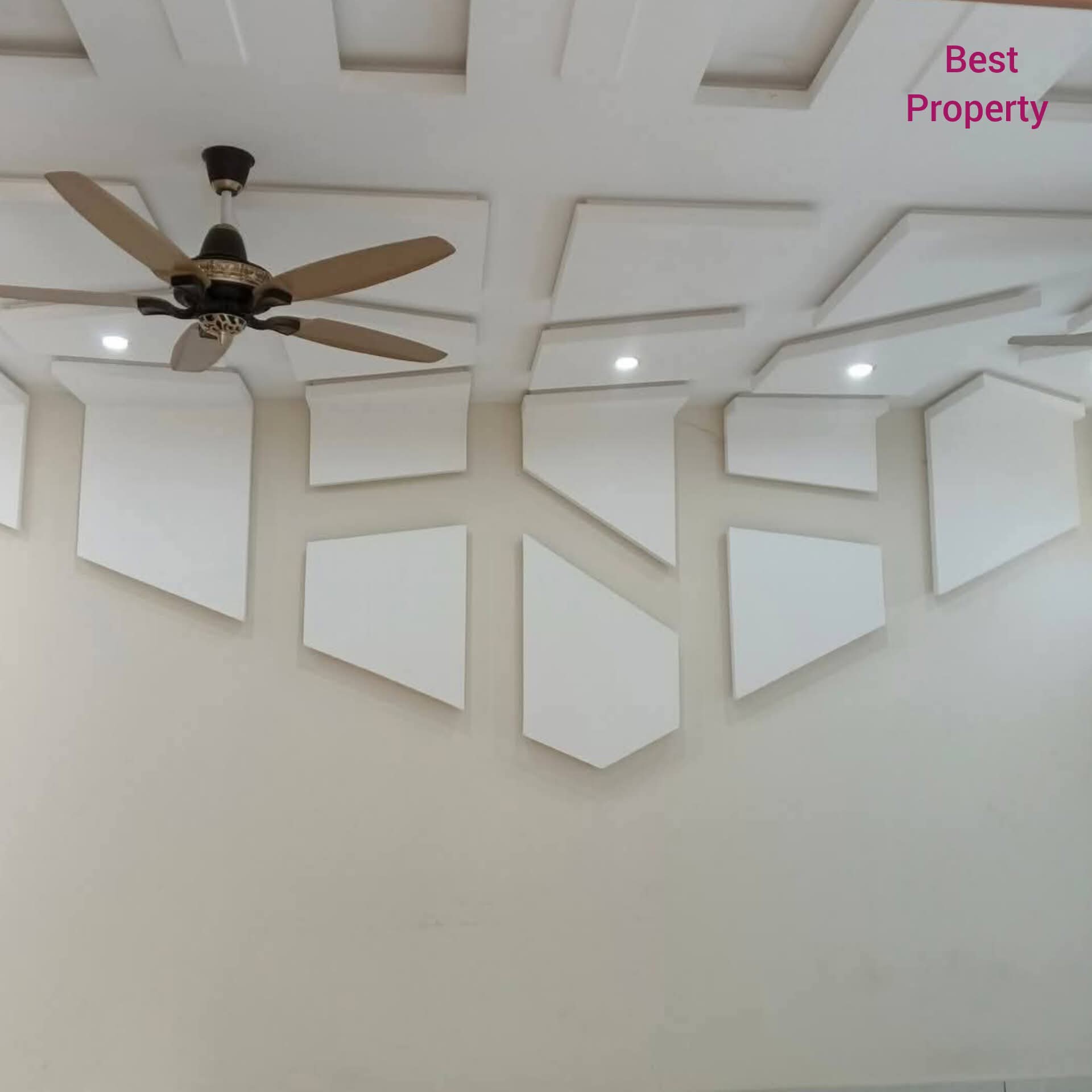 565237730_4242554466018808_8585922044419677829_n