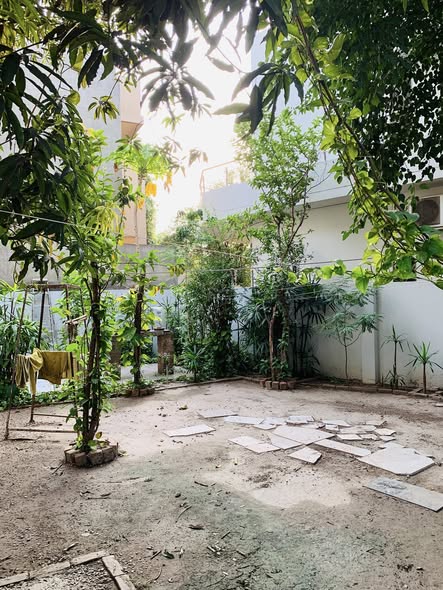 567700395_122160716636790638_1110035577095744955_n