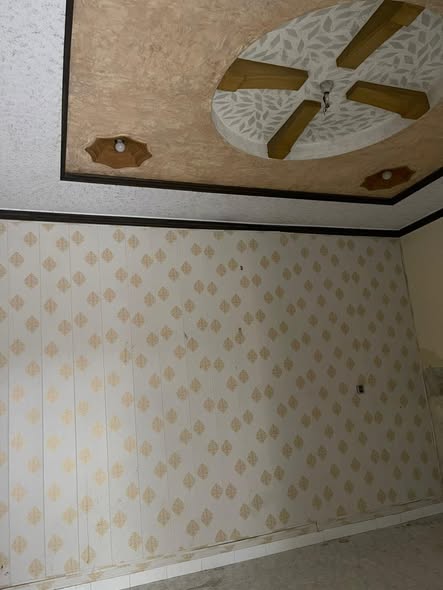 571131679_122244501488130371_5092290911409727775_n