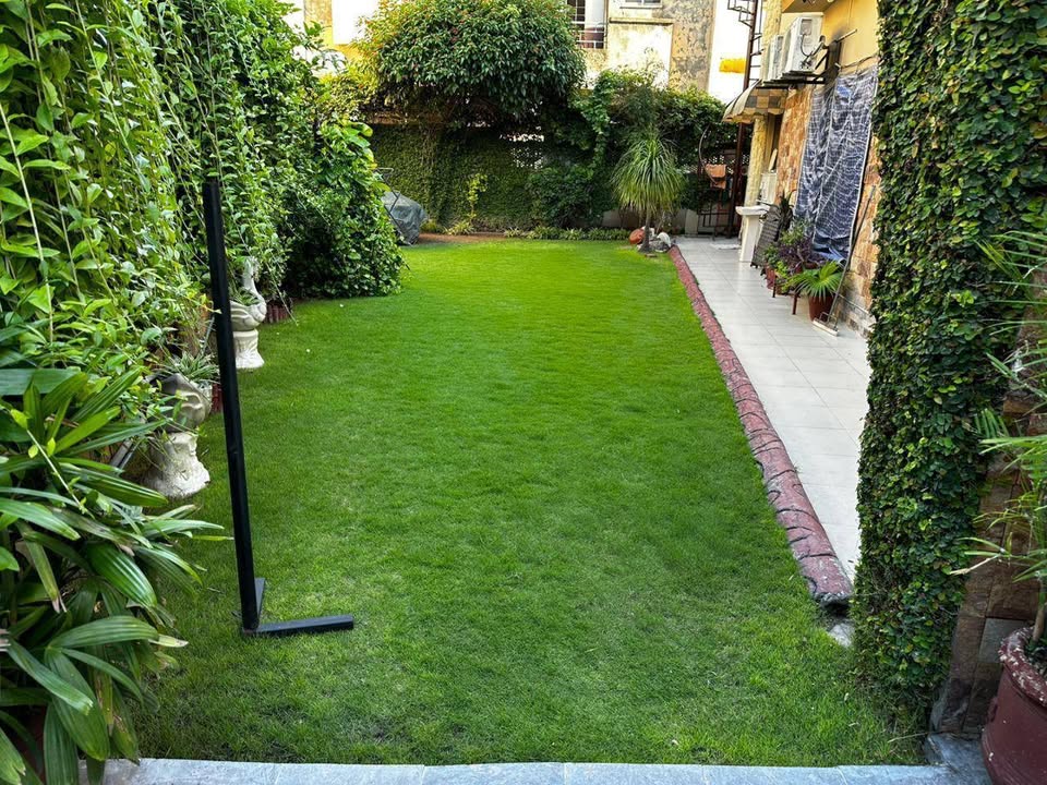 572258057_4152462558346596_1393845086806565029_n