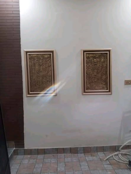 573541898_829456546705079_1789301434647226762_n